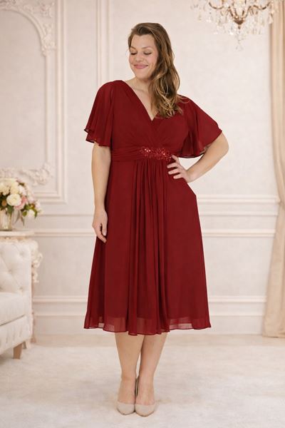 Picture of CURVY GIRL COCKTAIL DRESS
